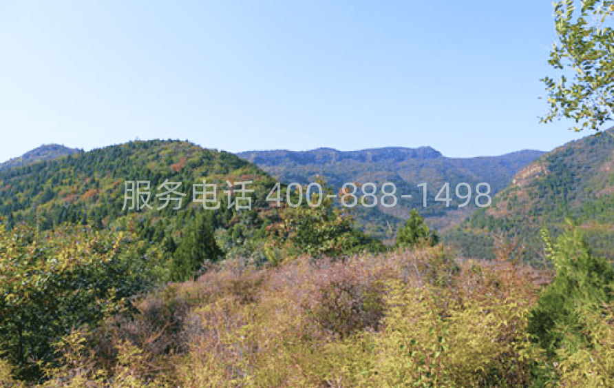 归山陵园环境图08